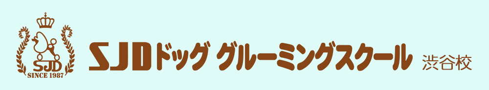 トリマーを目指すならsjdドッググルーミングスクール渋谷校